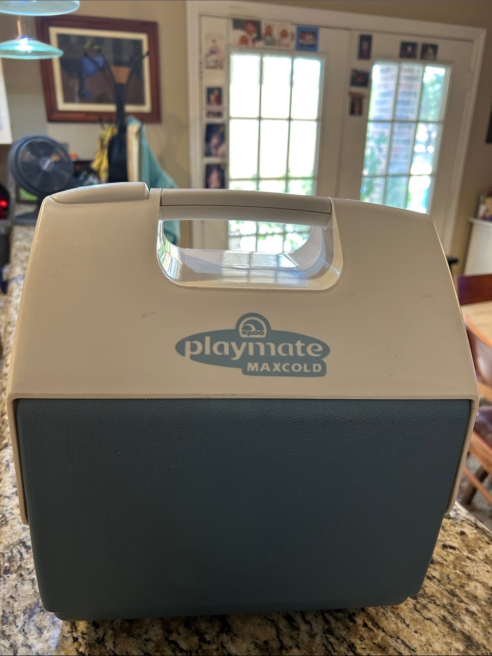 Igloo Playmate MaxCold Cooler in White and Blue